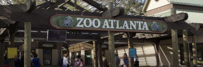 Zoo Atlanta Joins List of Closings | The City Menus