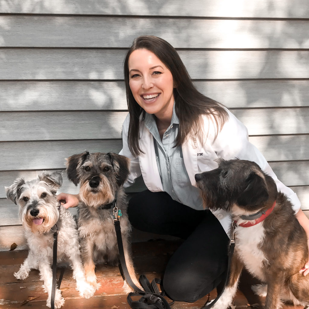 Carrollton VCA Animal Hospital Welcomes Dr. Amanda Vance | The City Menus